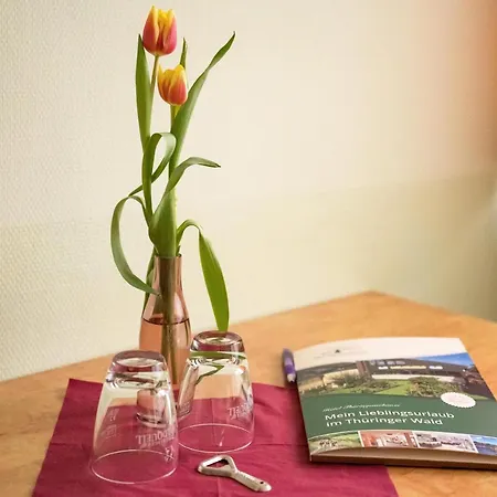 Отель Thueringenschanze