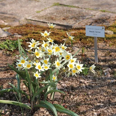 Hotel Thueringenschanze 3*