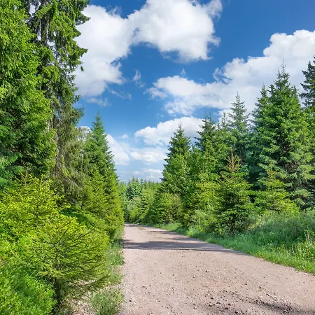 Thueringenschanze 3*