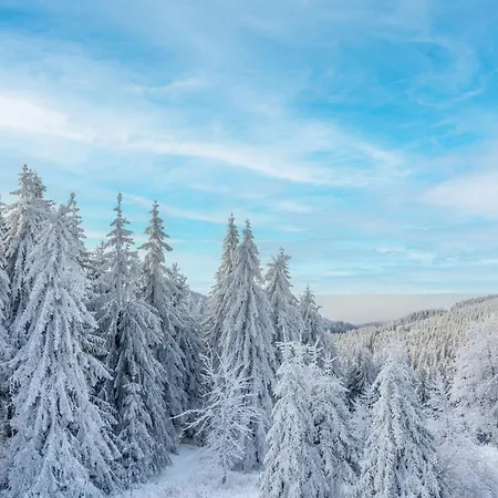 Thueringenschanze Ξενοδοχείο Oberhof (Thuringia)