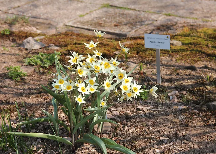 Hotel Thueringenschanze 3*