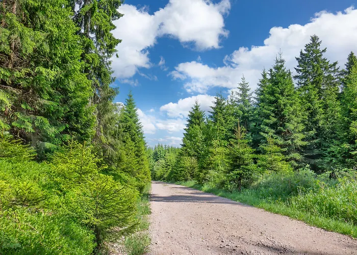 Thueringenschanze 3*